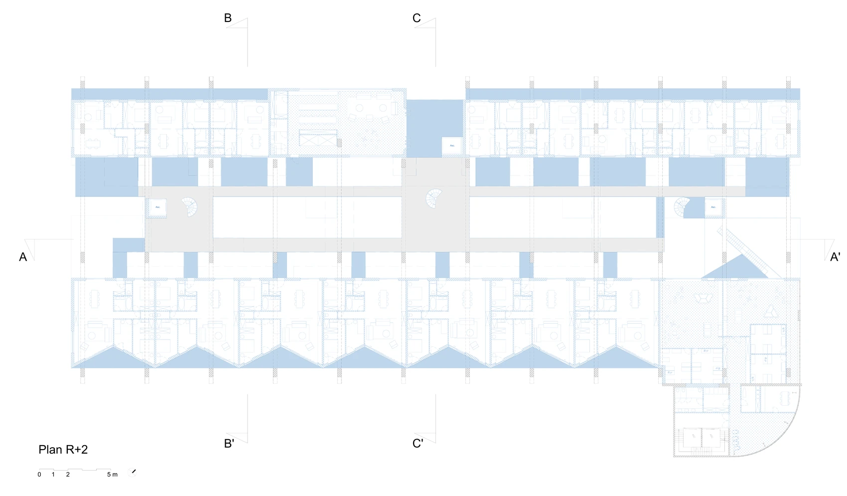 Plan du deuxième étage : logements et salle communautaire